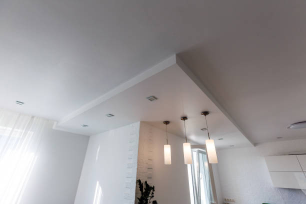 Ceiling Rhinolite Randburg & Sandton