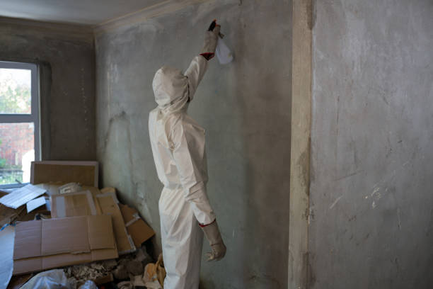 Damp Proofing Walls